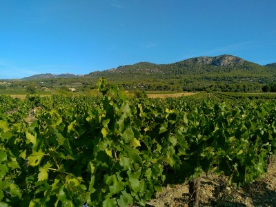 route des vins