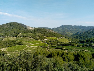 Vue vignes du Graveyron 400x300 Route des vins