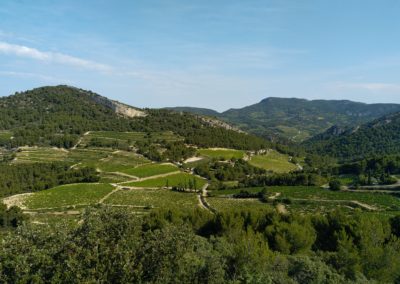 Rando Mont Graveyron - vignes - Mont St Amand