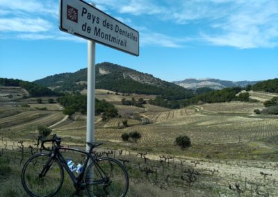 Vélo - Cycliste - Dentelles de Montmirail